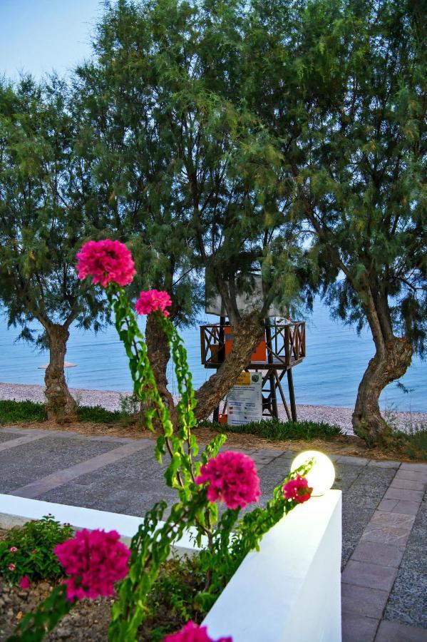 Aliki Studios Paralia Agias Foteinis Exterior foto